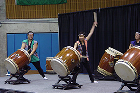 Saettle Kokon Taiko